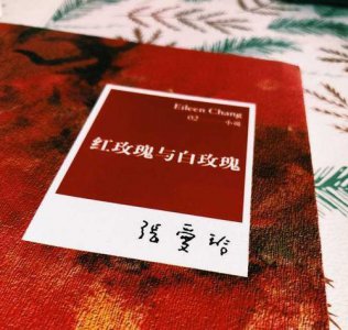 ​朱砂痣是什么梗