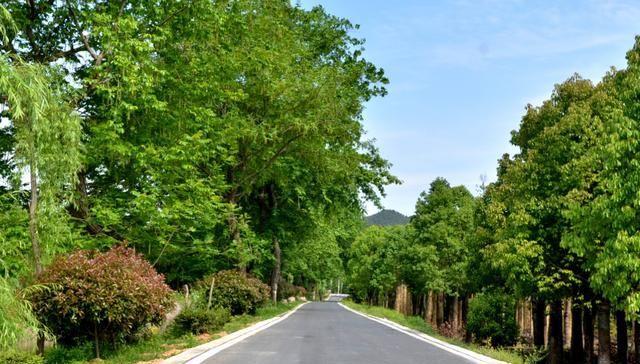 广东中山市北部一个小镇，三面临水，拥有浮虚山公园
