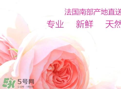 rossi rossa面膜怎么样？rossi rossa珞珞庄园面膜好不好？