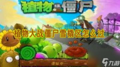 ​植物大战僵尸雪橇区怎么过