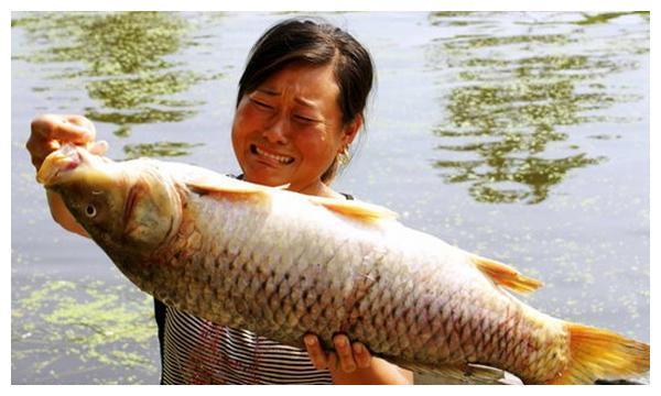 海边生活的人，不吃鱼皮跟鱼头？老渔夫说出3个“禁忌”部位