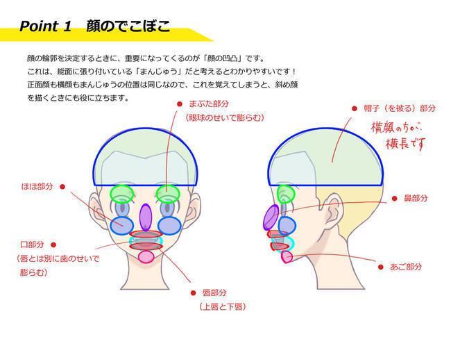 【精品】动漫人物脸型各种画法