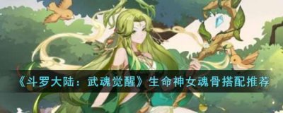​斗罗大陆：武魂觉醒生命神女魂骨怎么搭配