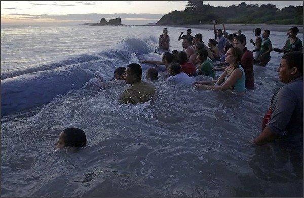 恐怖深海巨怪惊现海滩，没想到真相竟是这样！