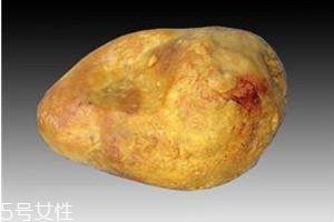 鸭宝怎么保存 鸭宝的药用价值 