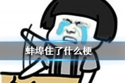 ​蚌埠住了什么梗