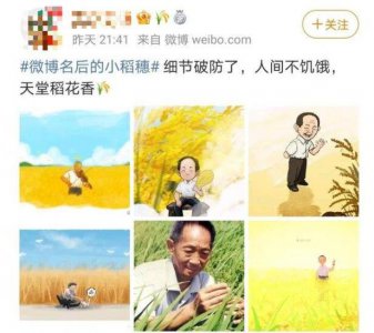 ​微博名字后面的稻子标志怎么弄