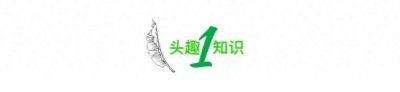​女子在婚礼现场崩溃痛哭,儿子竟娶到亲生女儿:电视剧都不敢这么拍