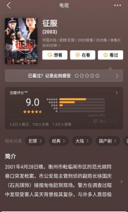 ​电视剧《征服》李丽原型是何许人也 其实并不是“女商人”