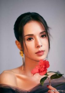 ​明星的秀之香港影视剧女演员李若彤