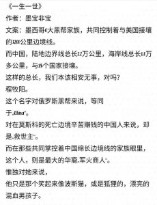 ​超级好看的黑道小说：金三角地带，有肉有剧情，超可
