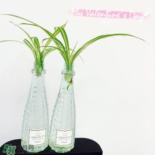 贝玲妃卸妆水怎么样?贝玲妃卸妆水好用吗?