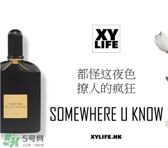 tom ford午夜兰花香水怎么样？香味好闻吗