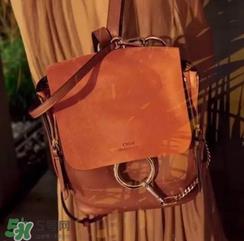 chloe faye双肩包多少钱？蔻依faye双肩包专柜价格