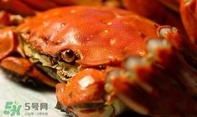 螃蟹忌讳什么？螃蟹不能和什么一起吃