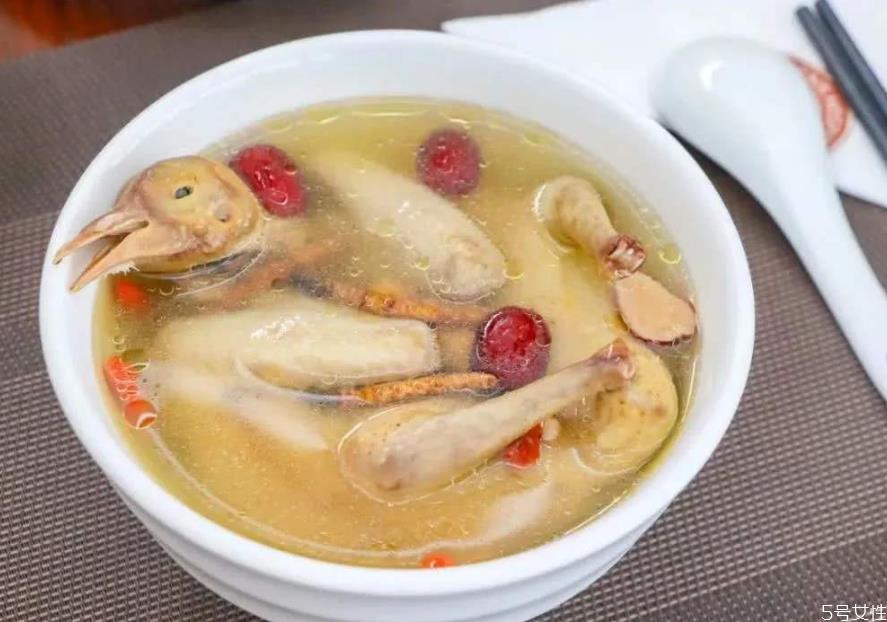 鸽子汤太油了怎么办 鸽子汤怎么炖不油