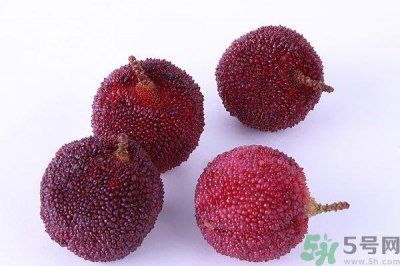 杨梅里面有小虫怎么洗？杨梅里的虫子怎么弄出来？