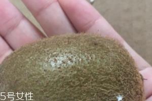 绿心猕猴桃含叶酸吗？绿心猕猴桃里面有叶酸吗？