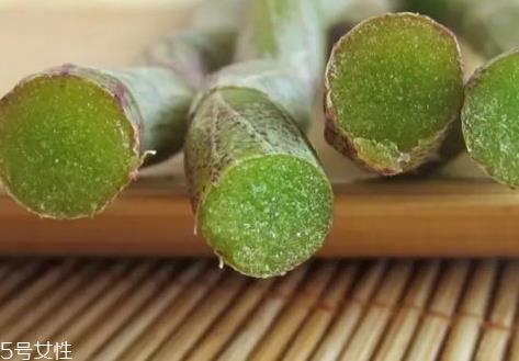 新鲜石斛多少钱一斤 最新价格行情