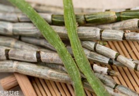 新鲜石斛多少钱一斤 最新价格行情