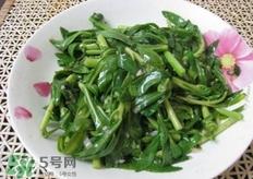 养心菜哪些人不能吃?养心菜哪些人可以吃?