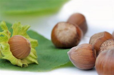 ​榛子可以冷冻保存吗 炒熟的榛子怎么保存
