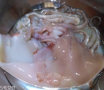 鱿鱼是海鲜吗？鱿鱼属于海鲜吗？