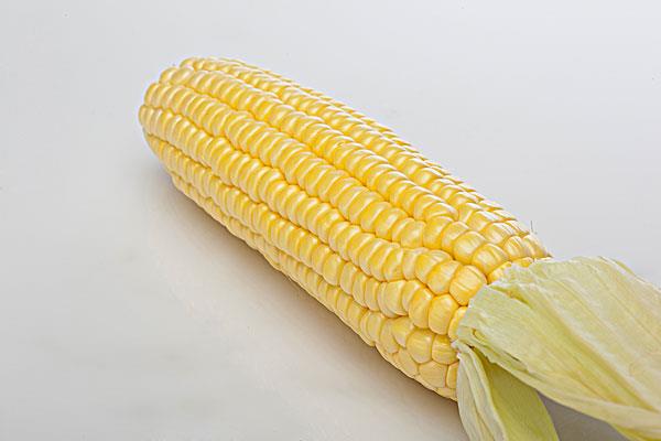 吃玉米的最佳时间 玉米粒可以煮面条吗