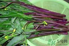 红菜苔的花可以吃吗？红菜苔上面的花能吃吗？