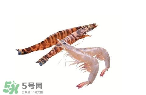 如何区分基围虾和竹节虾？竹节虾和基围虾的区别