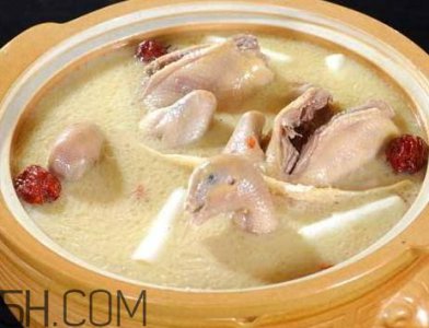 ​鸽子汤用热水还是冷水 鸽子汤冷水下还是热水