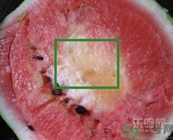 如何辨别催熟的西瓜？催熟的西瓜是什么样的？