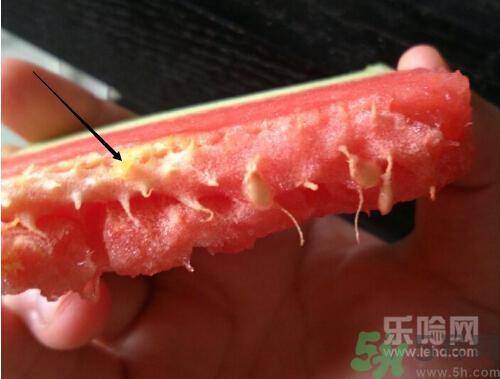 如何辨别催熟的西瓜？催熟的西瓜是什么样的？