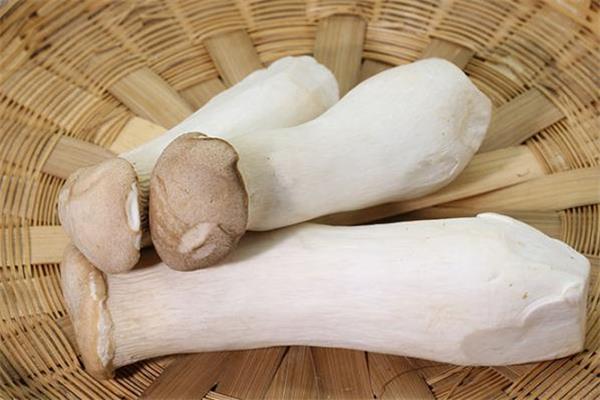 杏鲍菇出水了还能吃吗 杏鲍菇出水是坏了吗