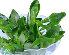养心菜的营养价值_养心菜的功效与作用及食用方法