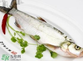 白条鱼怎么做好吃？白条鱼怎么吃好吃
