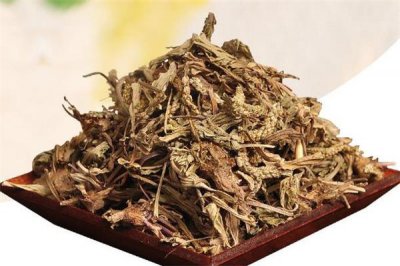 ​车前草泡水小孩能喝吗 车前草泡水适合多大小孩喝