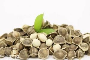 辣木籽是药材吗？辣木籽属于什么？
