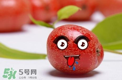 羊奶子有什么药用价值？羊奶子有什么功效