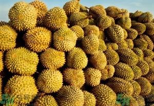 榴莲能放冰箱吗？榴莲放在冰箱能保存几天？