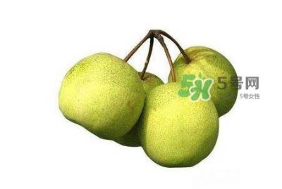 ​砀山梨好还是皇冠梨好？砀山梨和皇冠梨的区别