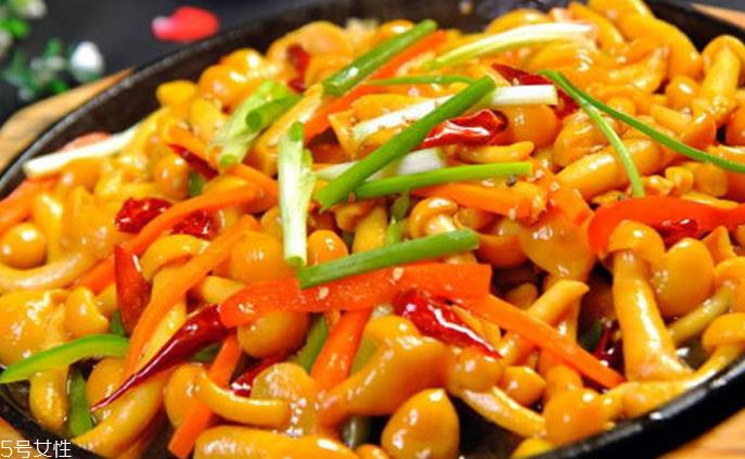 滑子菇野生和滑子菇养殖的区别 野生滑子菇的好吗？