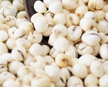 川贝母梨水怎么保存 保温瓶装好