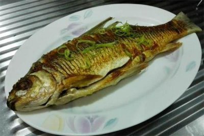 ​鲮鱼是发物吗 食用要注意