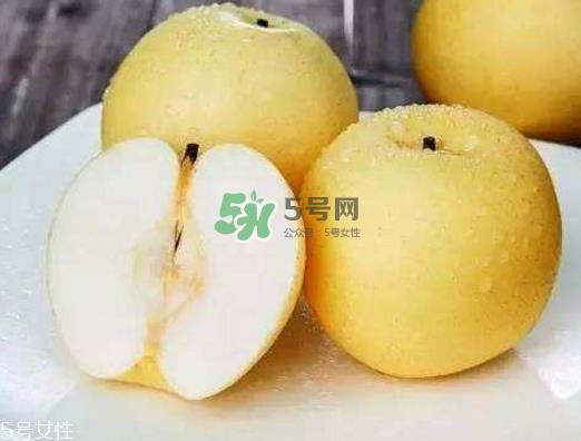 贡梨的产地是哪里？贡梨的功效和作用