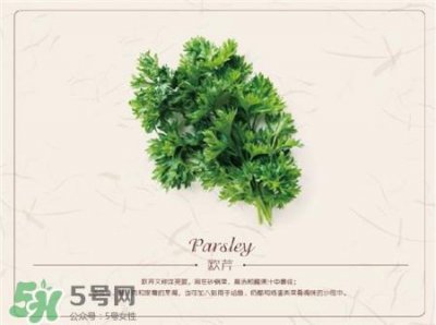 ​欧芹是什么?欧芹是不是西芹?