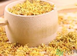新鲜桂花能泡茶吗？新鲜怎么处理泡茶？