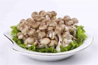 ​蟹味菇需要焯水吗 蟹味菇要焯水多久
