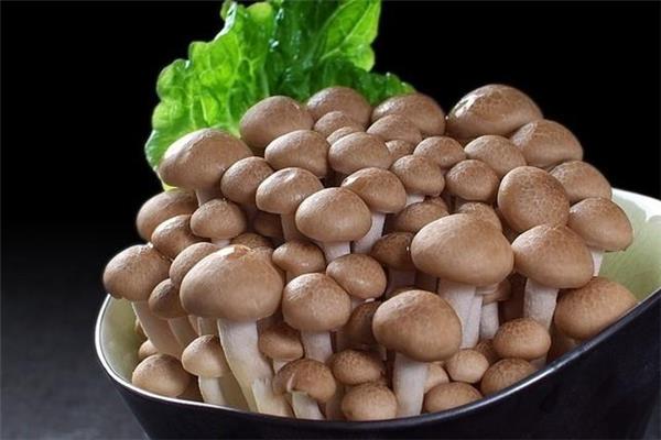 蟹味菇需要焯水吗 蟹味菇要焯水多久