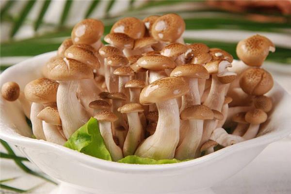 蟹味菇需要焯水吗 蟹味菇要焯水多久
